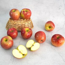 더조은푸드 [더조은] 아리수 사과 가정용 3kg 랜덤과 (8-15과), 1