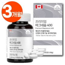 캐나다 산 프리미엄 마그네슘 400 신경 근육 기능 유지에 도움 고함량 마그내슘 마그네숨 마그내숨 보충제 식약청 인증 (+사은품 증정), 1개, 90정