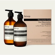 [백화점출고] Aesop 이솝 레저렉션 핸드크림+핸드워시 선물세트, 1개