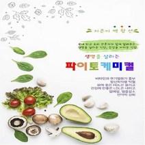 NSB9791192362878 새책-스테이책터 [생명을 살리는 파이토 케미컬] ---인피니티컨설팅-백항선 지음-건강에세이/건강정보-20220822 출간-, 생명을 살리는 파이토 케미컬