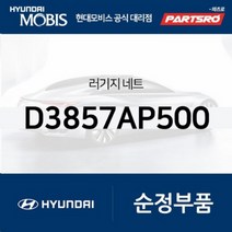 러기지 네트(D3857AP500)