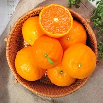 푸르젠 제주직송! 카라향 2.5kg 중과(17~22과), 단품없음