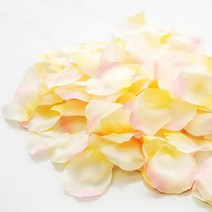 [바보사랑] 플라워샤워 실크꽃잎 (망고), 상세 설명 참조