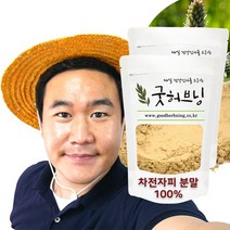 차전자피 식이섬유 가루 분말 차전차피 효능 500g 굿허브닝, 500g x 2팩
