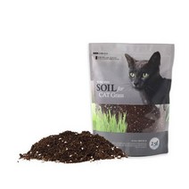 꿈쟁이 캣그라스 배양토 2.5L 고양이캣닢, 없음, 상세설명 참조