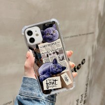 러시안블루 에어범퍼 아이폰13 미러케이스