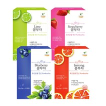 해피테라스 콤부차 탄산 빵빵 자몽 라임 스트로베리 블루베리 원액 키트 스코비 만들기 5gx15개입