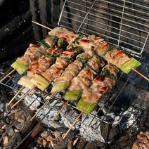 캠핑 닭꼬치 4개 1팩 (총 500g) 두툼한 닭다리살 꼬치 데리야끼소스증정 캠핑밀키트