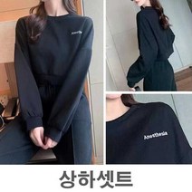 나미나라 가을 헬스장여자운동복 트레이닝복 츄리닝 조깅 운동 여성 귀여운 단체 7W9B8543