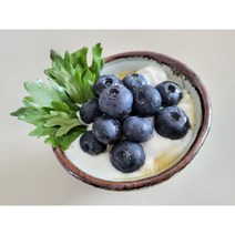 담양 블루베리 바이오샹떼 1kg 유기농 생블루베리 가정용, 2kg