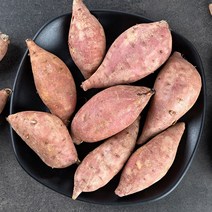 맛좋은 해남 꿀밤고구마, 1box, 10kg 못난이