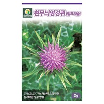 그린비타 풋고추 50립 - 씨 씨앗 오이고추 아삭이고추 고추씨앗 고추씨 채소씨 채소씨앗 오이고추씨앗 아삭이고추씨앗, 03_다농_흰무늬엉겅퀴(2g)