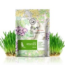 산들해 국산 어린순 새싹보리 분말가루 새싹보리100%, 500g, 1개