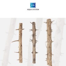 아쿠아시스템 천연 네추럴 가시나무 가지유목, 대 (40~49cm)