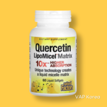 네츄럴팩터스 퀘르세톨 케르세틴 퀘르세틴리포미셀 퀘르세틴 60정