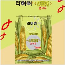 라이어 스피드 밑밥 콘새우 밑밥 민물낚시 집어제