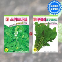 허브씨앗 2종 스위트 바질씨앗 루꼴라씨앗, 1개