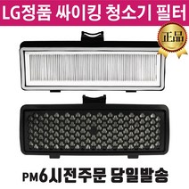LG 정품 싸이킹 청소기 배기 필터 블랙 일체형 (즐라이프 당일발송)