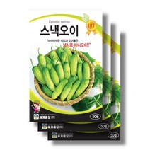 스낵오이 씨앗30립x3 생식용 미니오이 씨앗, 30립x6봉