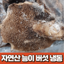 자연산 능이 버섯 냉동 1kg 냉동능이 능이버섯 삼계탕재료 버섯 선물 자연상능이 수입 능이 버섯 중국산, 1개