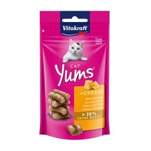 비타크래프트 캣얌 40g 4종 중 1선택 고양이 간식, 1개, 치즈
