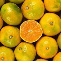 미미의 밥상 제철맞은 꿀달콤 햇 제주감귤 4.5kg 혼합과 (2L-2S), 1개