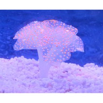 가재은신처 베타은신처 산호석 산호초 6색 인공 산호 수족관 장식 실리콘 빛나는 식물 물고기 탱크 빨판 수, 12 orange_01 As show