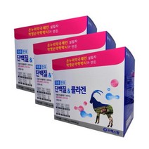 [렉스팜] 박영순 약학박사가 만든 단백질&콜라겐 x3개 (총 6개월분) (LEX001x3), 3개, 단품