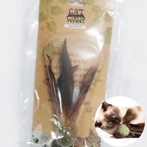 리시안제이 꿩깃털 캣닢 볼 심심풀이장난감 고양이가좋아하는모든것