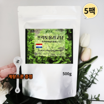 네덜란드 프락토올리고당 분말 신 프리바이오틱스 유산균분양 갈락토올리고당 이눌린 500g5팩