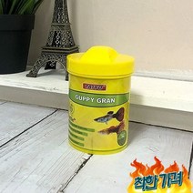 타이요 구피 사료80g