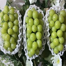 고당도 프리미엄 산지 직송 당도 보장 영월 샤인머스켓 2kg 3kg, 샤인머스켓 2kg(2~4송이), 1개