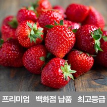 [ClDS-212]영화청과 국내산 딸기 2kg 프리미엄 백화점 납품 제철 농장 설향 청, 본상품