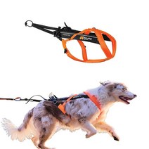 Non-stop dogwear Freemotion Harness 5.0 강아지 풀링 하네스 강아지와 함께 달리기 자전거 타기 및 스키와 같은 스포츠용 전문가용 조절 가능한 개, Orange / Black