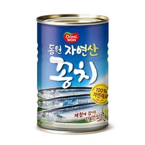 동원에프앤비 동원 꽁치 400g (12캔)