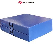 SG 무스포 2단 접이식 착지 매트리스 체육관 학교체육, 주문제작(약 10일소요), 20*200*120