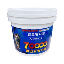 곰팡이방지 결로방지제 방수제 곰팡이제거 CMW-10 4kg, 결로방지제4kg-(1개)