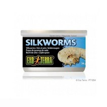 파충류용품 엑소테라 누에 캔 34g*807Jm, 1, 본상품선택