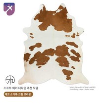 러그 무늬 카페트 얼룩 쇼파 침실