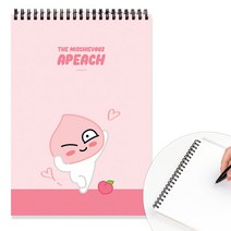 카카오프렌즈 하드커버 상철 스프링 노트 / 다이어리 스터디플래너 노트 독서록 공책 스프링제본 스프링노트 산모수첩 연습장 영어노트 수학노트 수학오답노트 종합장 무선노트 캠퍼스노트, 어피치