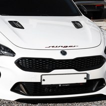 폰데코 스팅어 투톤 레터링 엠블럼 포인트 아크릴 로고 튜닝, 스팅어 레터링 엠블럼 - 화이트