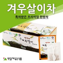 박달재 겨우살이차 곡기생 1박스 50봉 한방차 건강차, 1, 1