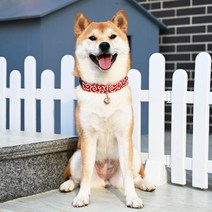 LongFatoys 일식 강아지 목줄 방울 개목걸이 당초무늬 시바견 개줄 소형견 웰시코기 푸들, 블루코일+견인줄