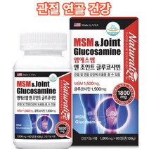 라이즈 미국엠에스엠앤조인트글루코사민1800mgx60정 관절 연골 부모님 선물 미국직수입, 1개