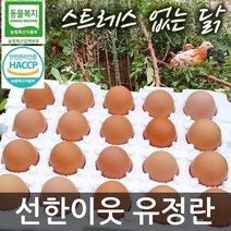 선한이웃 동물복지 유정란 40구/60구/80구 택일 친환경 무항생제 HACCP 안전관리인증 축산물 난각번호#2, 80구