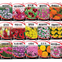 봄꽃 겹꽃 아마 부용화 아마 수국 세이지 아욱 플록스 국화 접시꽃 데이지 양지꽃 나팔꽃 사루비아 풍접초 투베로사 아도니스 클라키아 채송화 장미 봉선화 해바라기 꽃잔디 씨앗, 코스모스
