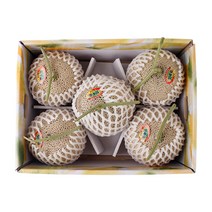 [감동] 머스크 멜론 6.5kg이상 선물세트 명절선물세트, 1box, 5수 6.5kg 내외