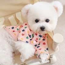 PIPIMONG 피피몽 반려견 고양이 몽 하트 긴팔 상의, 핑크색