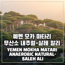 (커피생두) 65 예멘 모카 마타리 무산소 내추럴-살레 알리 1kg, 1개