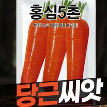 당근씨앗 종자 홍심5촌 7g